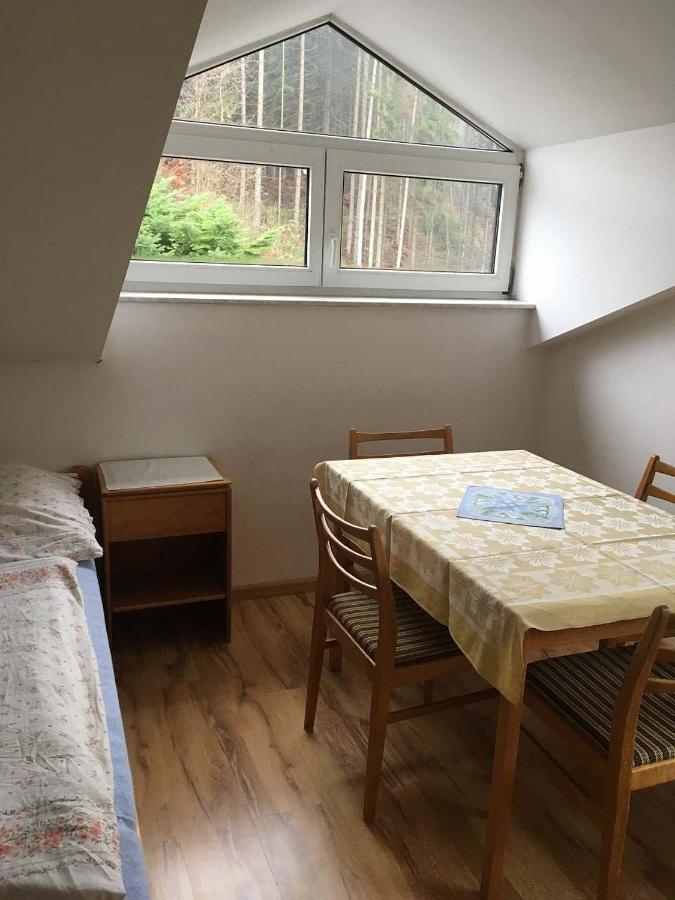 Apartman - Rokytnice Nad Jizerou Διαμέρισμα Εξωτερικό φωτογραφία