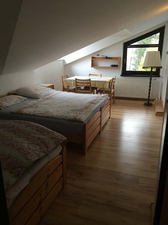 Apartman - Rokytnice Nad Jizerou Διαμέρισμα Εξωτερικό φωτογραφία